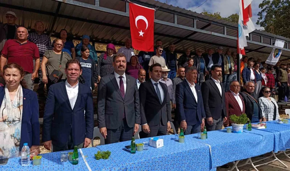 Manisa’nın Kula ilçesine bağlı Kenger Mahallesi’nde geleneksel hale gelen Selvili