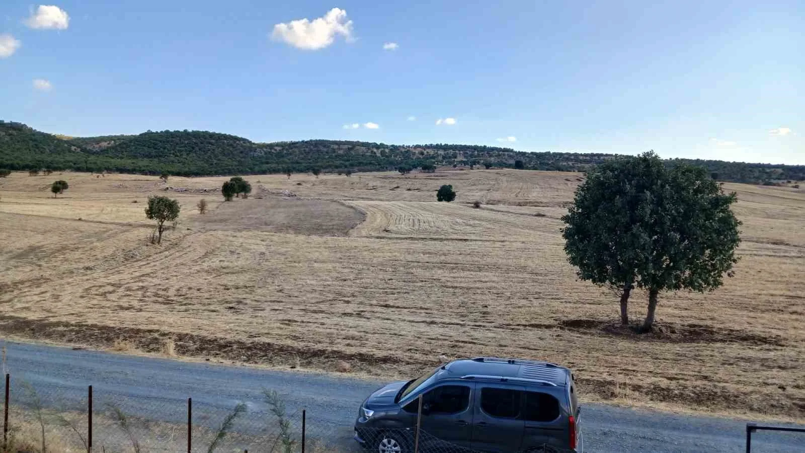 Diyarbakır’ın Kulp ilçesinde iki gündür devam eden sağanak hem tarım