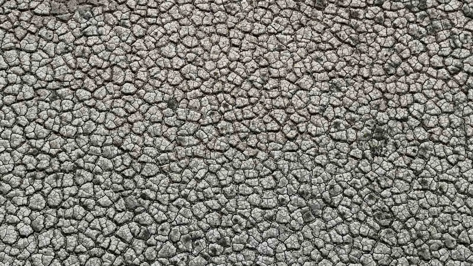 Adana Seyhan Baraj Gölü’nde yağışların azlığıyla çekilen su nedeniyle kuraklığın