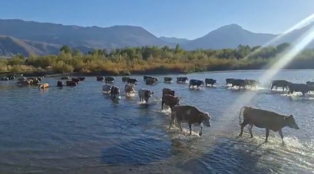 Doğu Anadolu Bölgesi’nde etkili olan kuraklık, akarsularda su seviyesinin ciddi
