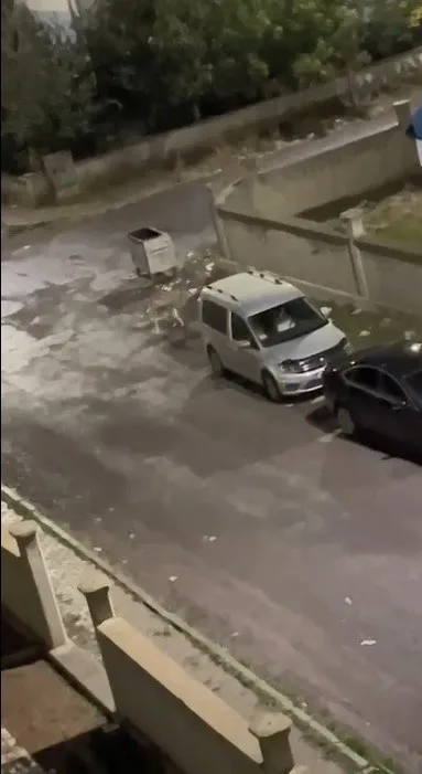 Kars’ta kurt kent merkezine indi. O anlar bir vatandaş tarafından