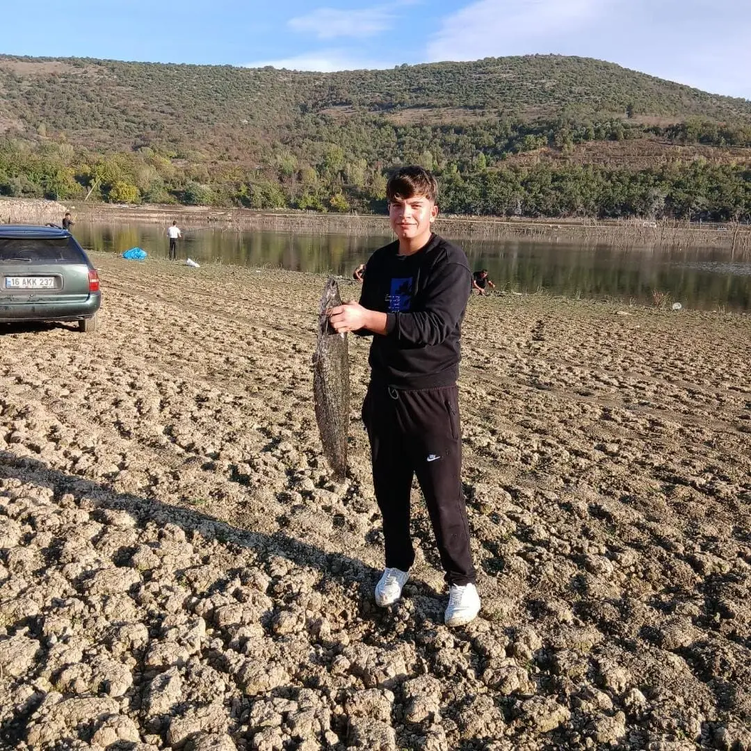 Bursa’nın İnegöl ilçesindeki Boğazköy Barajı’nda su seviyesinin düşmesiyle birlikte dev