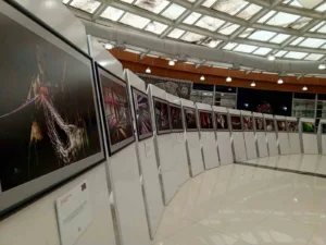 Malatya’da, son yıllarda geleneksel dokuma sanatlarının canlandırılmasıyla moda ve tasarım