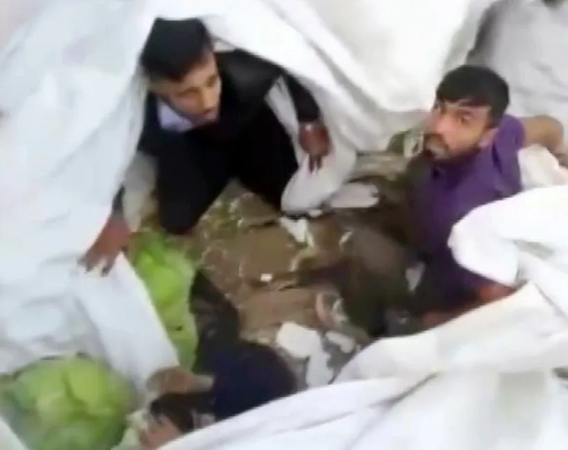 Anadolu Otoyolu Sakarya geçişinde lahanayla kamufle edilen dorsede Afganistan uyruklu