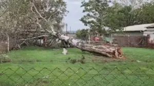 Bursa’nın Mustafakemalpaşa ilçesinde sabah saatlerinden itibaren etkili olan şiddetli lodos,