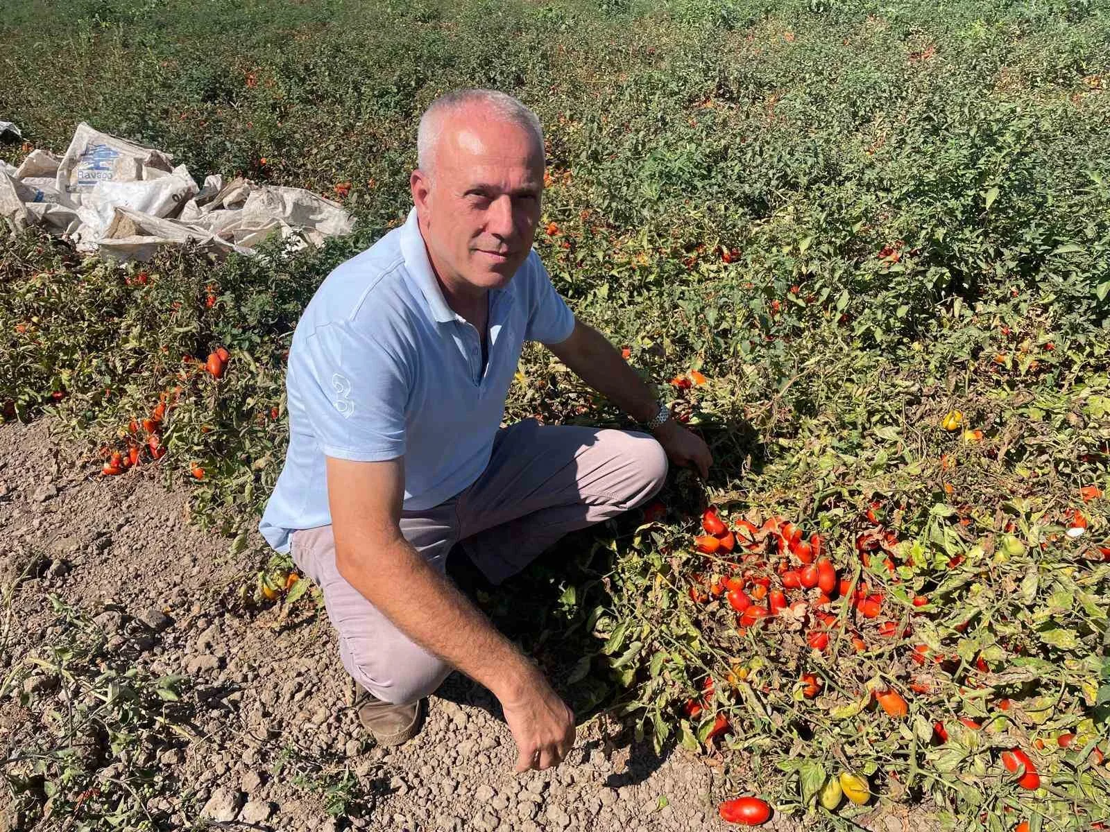 Bursa’nın Karacabey ilçesinden genç yaşlarında yabancı dil öğrenmek için gittiği