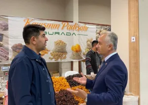 Malatya İş İnsanları Platformu Başkanı Ahmet Özköse, Malatya kayısısı üzerinden