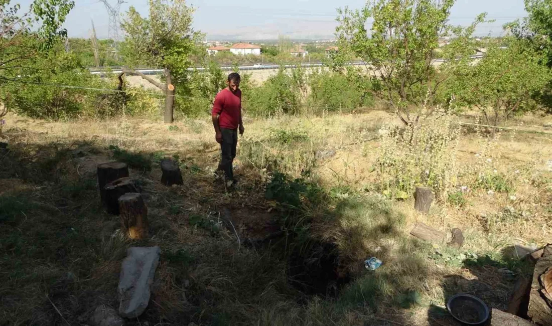 Malatya’da bir kayısı bahçesinde yaklaşık 2 metre çapında ve 6