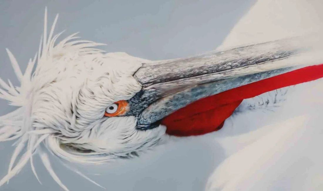 Kültür ve Turizm Bakanlığı tarafından düzenlenen Kültür Yolu Festivali, Malatya’da