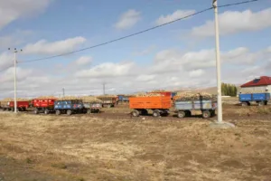 MUŞ (İHA) – Muş’un Malazgirt ilçesinde 2025 yılı şeker pancarı
