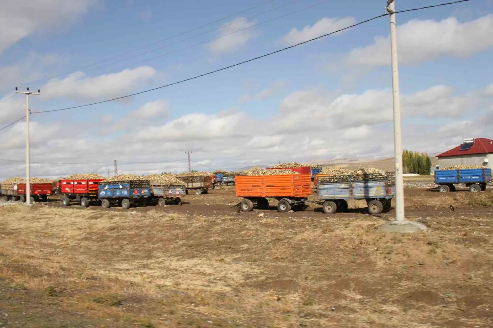 MUŞ (İHA) – Muş’un Malazgirt ilçesinde 2025 yılı şeker pancarı