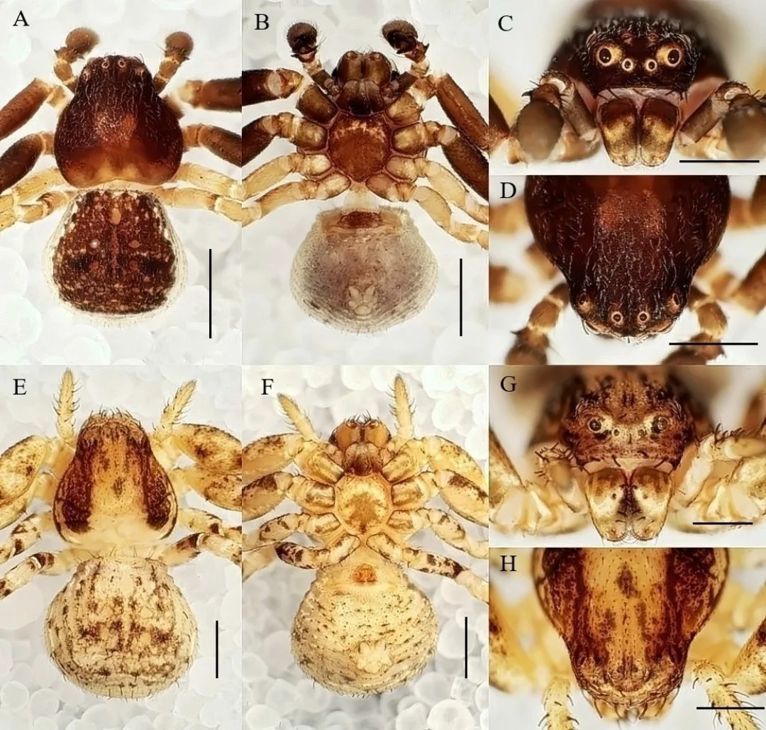 Manisa Celal Bayar Üniversitesi Alaşehir Meslek Yüksekokulu Öğretim Üyesi Prof.