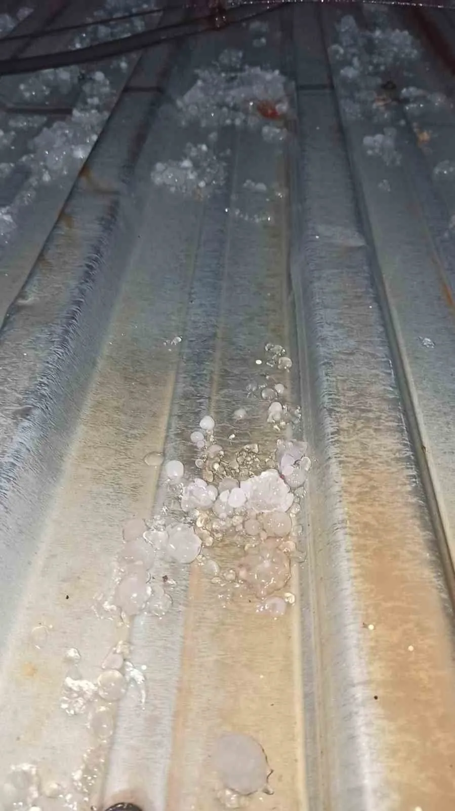 Manisa’nın Alaşehir ilçesinde ceviz büyüklüğünde yağan dolu vatandaşlarda şaşkınlığa neden