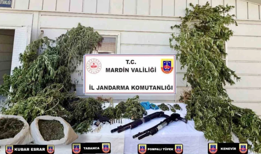 Mardin’de jandarma ekiplerince son 15 günde uyuşturucu satıcılarına yönelik gerçekleştirilen