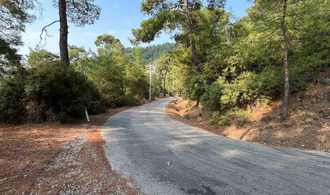 Marmaris Orman İşletme Müdürlüğü ekipleri, yıl boyunca yapılan ve yaz