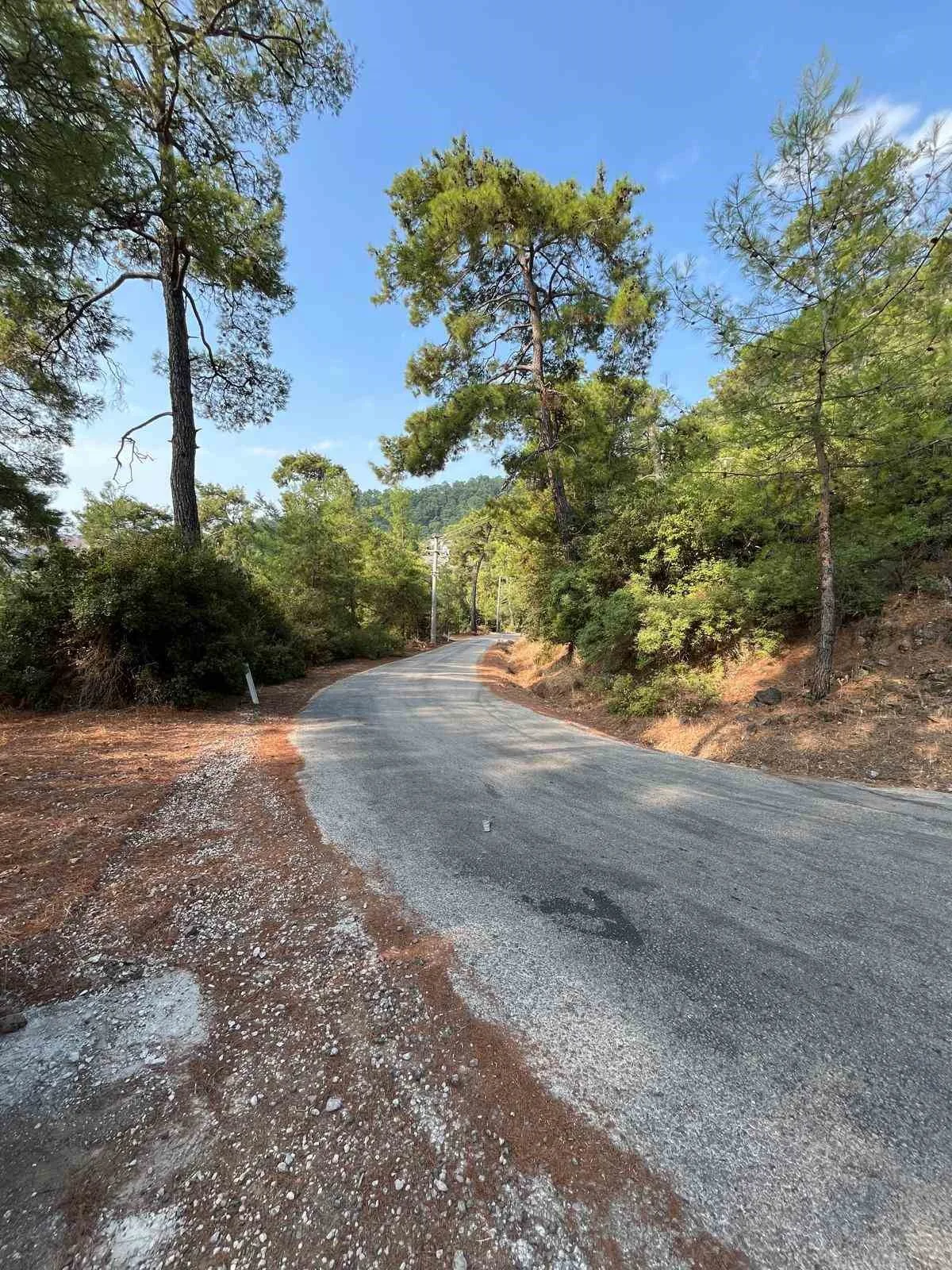 Marmaris Orman İşletme Müdürlüğü ekipleri, yıl boyunca yapılan ve yaz