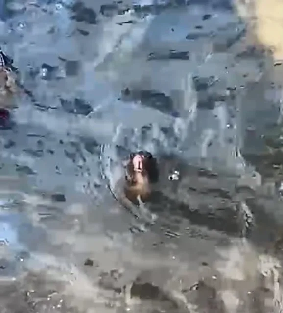 Domuzlar ve fare istilasıyla gündemden düşmeyen Marmaris’te sağanak yağmur sonrası