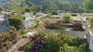 Dünyanın ve Türkiye’nin en gözde turizm merkezlerinden biri olan Muğla’nın