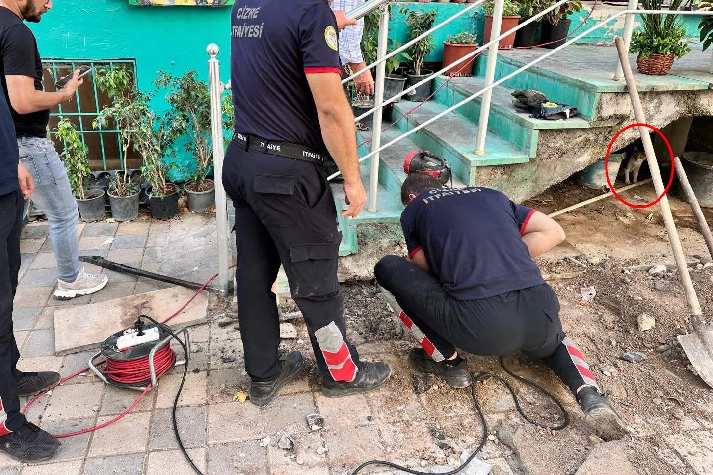 Şırnak’ın Cizre ilçesinde bir iş yerinde merdiven boşluğuna sıkışan yavru