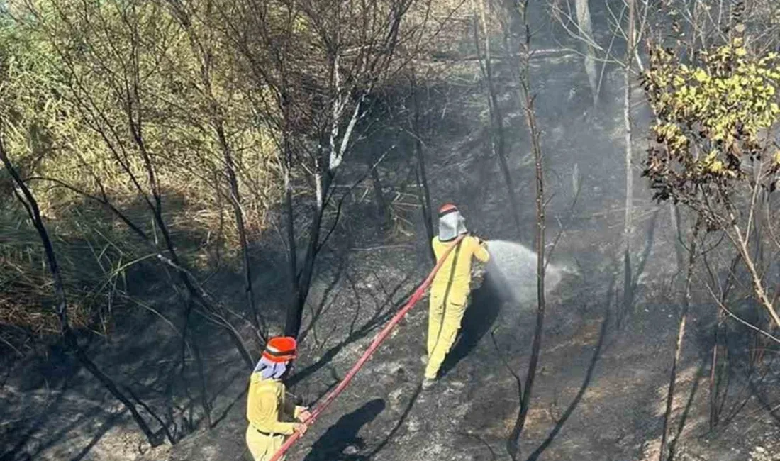 Mersin’in Mut ilçesinde bir bahçede çıkan yangın, itfaiye ve orman