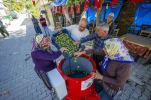 Mersin Büyükşehir Belediyesi, 2025 yılında 7 adet olmak üzere bugüne