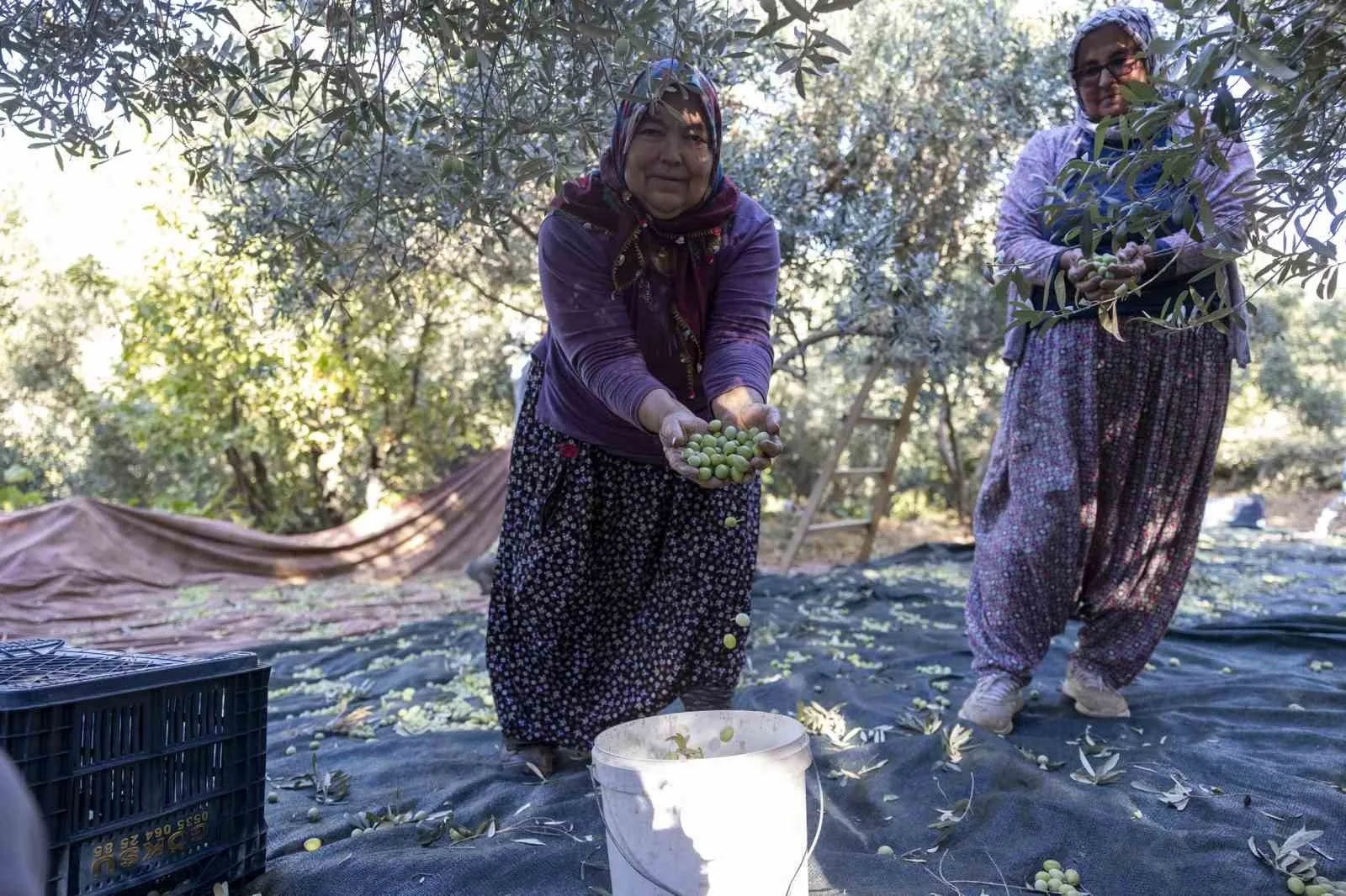 Mersin Büyükşehir Belediyesinin tarıma yönelik fidan destekleri kırsalda kalkınmaya katkı