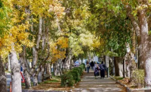 Erzurum Meteoroloji Bölge Müdürlüğü, bölge için kuvvetli rüzgar ve yüksek