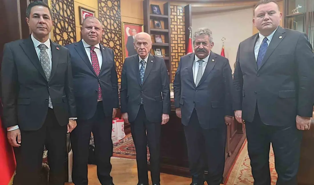 Milliyetçi Hareket Partisi’nin (MHP) Milli Dayanışma, Kardeşlik ve Demokrasi Komisyonu