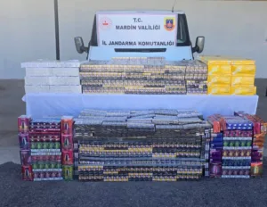 Mardin’in Midyat ilçesinde, jandarma ekiplerince düzenlenen operasyonda zula haline getirilmiş