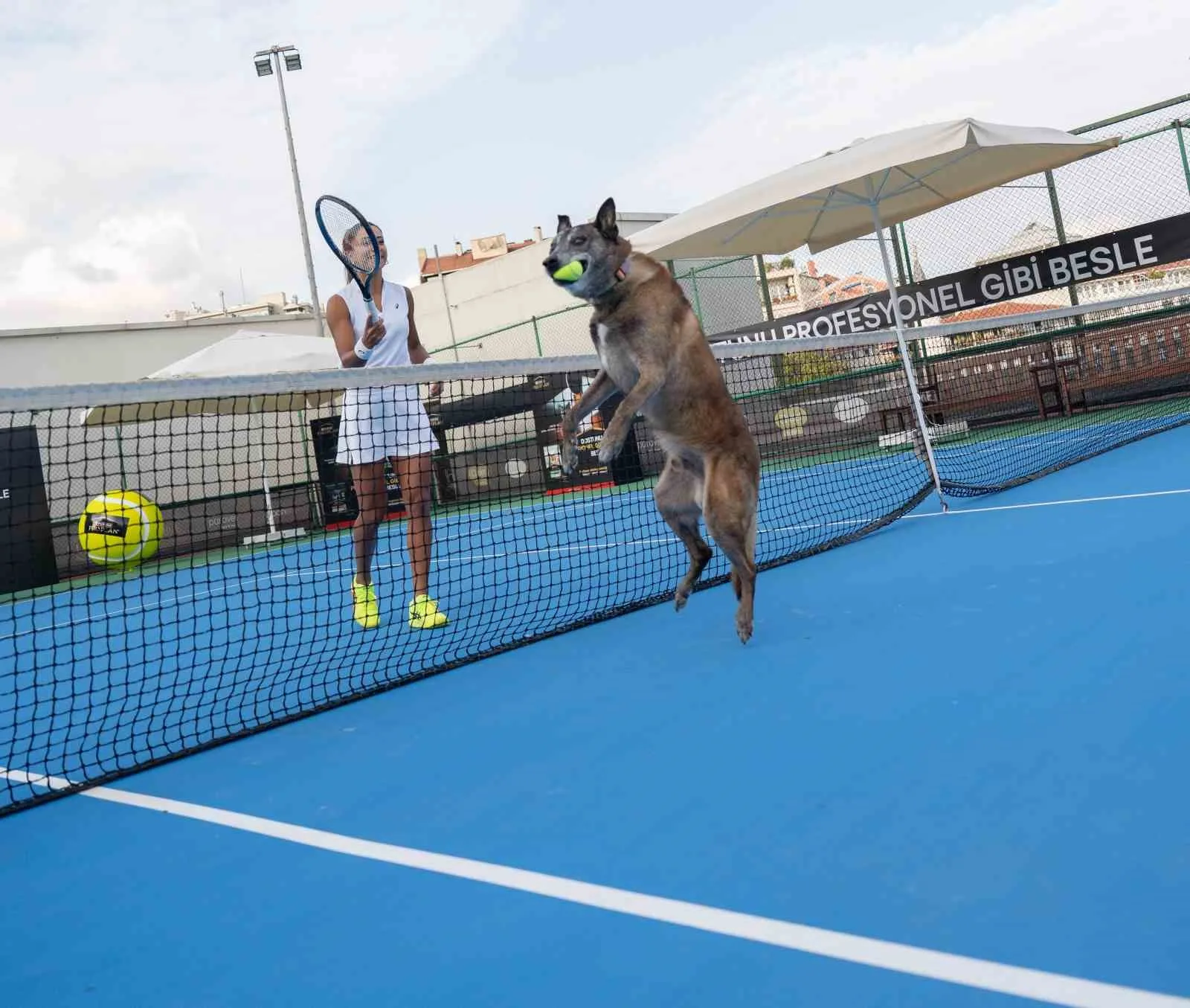 Milli tenisçi Çağla Büyükakçay’ı patili dostlarımızın sağlıklı, mutlu ve enerjik