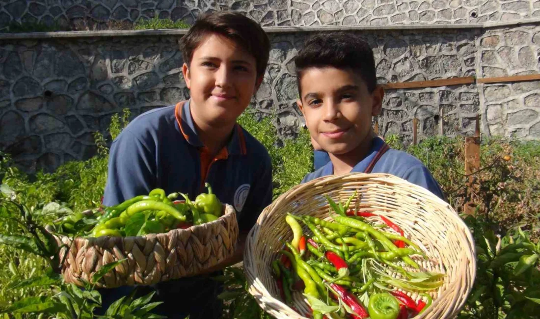 Manisa’nın Yunusemre ilçesindeki Akgedik TOKİ Ortaokulu öğrencileri, kendi elleriyle diktikleri