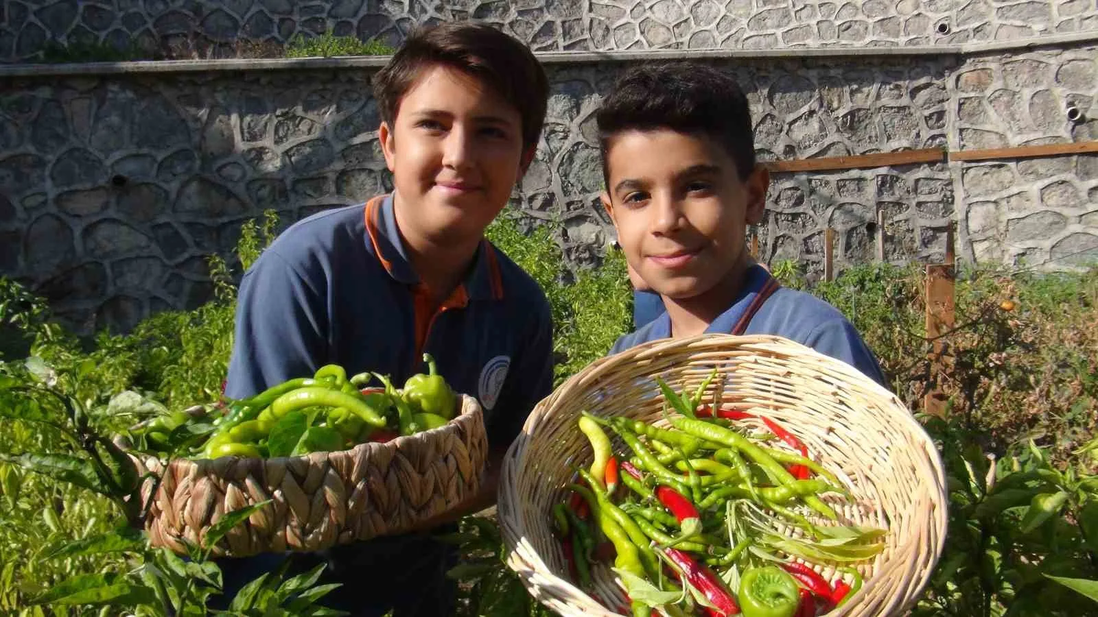 Manisa’nın Yunusemre ilçesindeki Akgedik TOKİ Ortaokulu öğrencileri, kendi elleriyle diktikleri