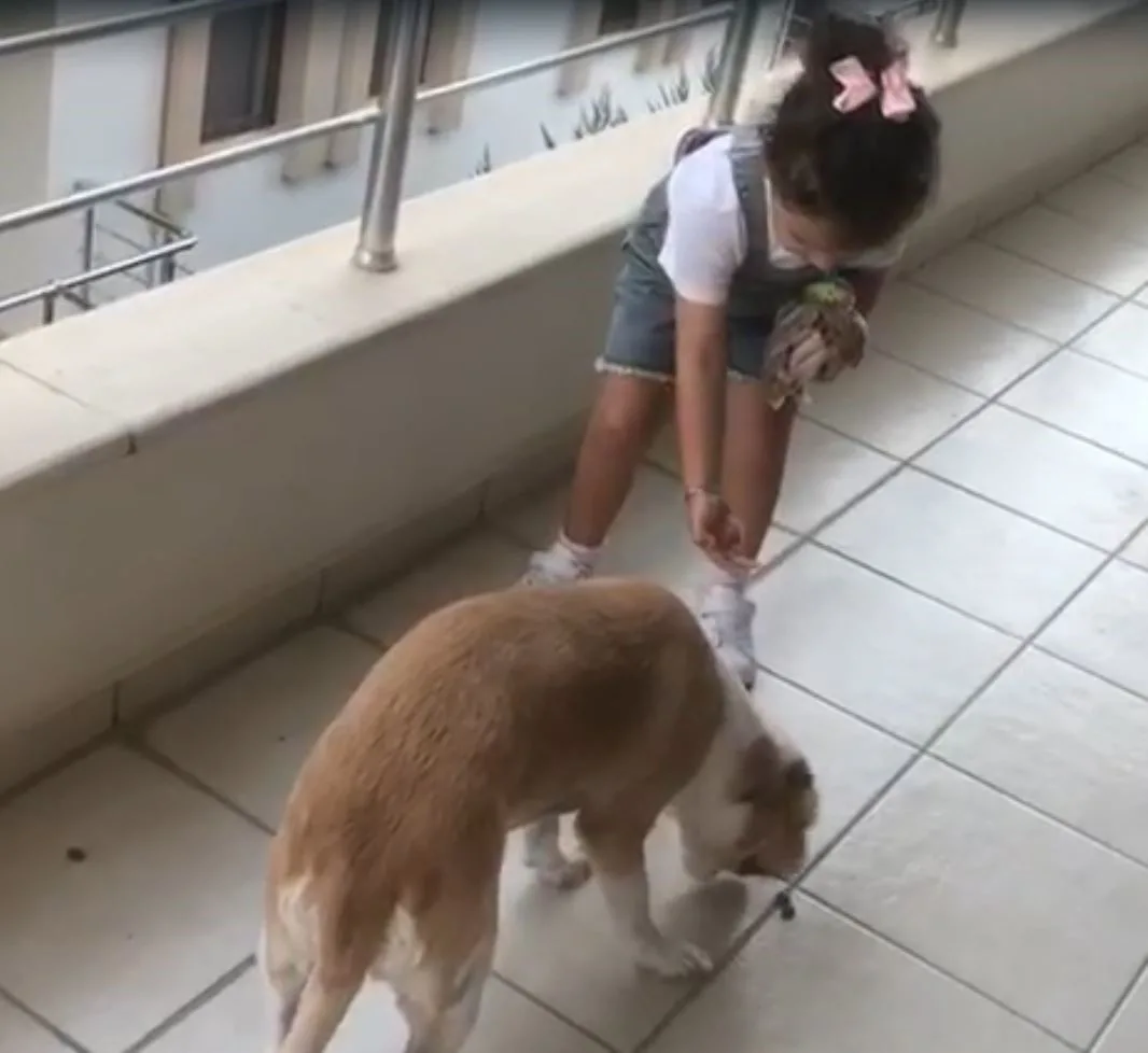 Muğla’nın Datça ilçesinde 4 yaşındaki Gökçe Erdoğan, öğretmeninin verdiği mama