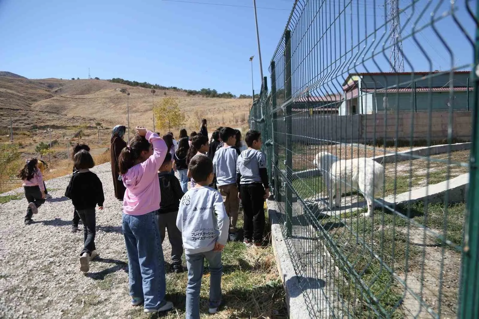 Van Büyükşehir Belediyesi, 4 Ekim Dünya Hayvanları Koruma Günü kapsamında
