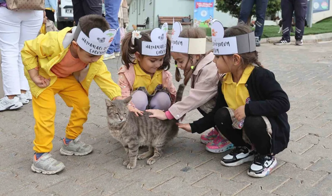 4 Ekim Dünya Hayvanları Koruma Günü etkinlikleri kapsamında Muğla Büyükşehir
