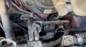 Tekirdağ’ın Çerkezköy ilçesinde araç motorunda mahsur kalan yavru kediler itfaiye