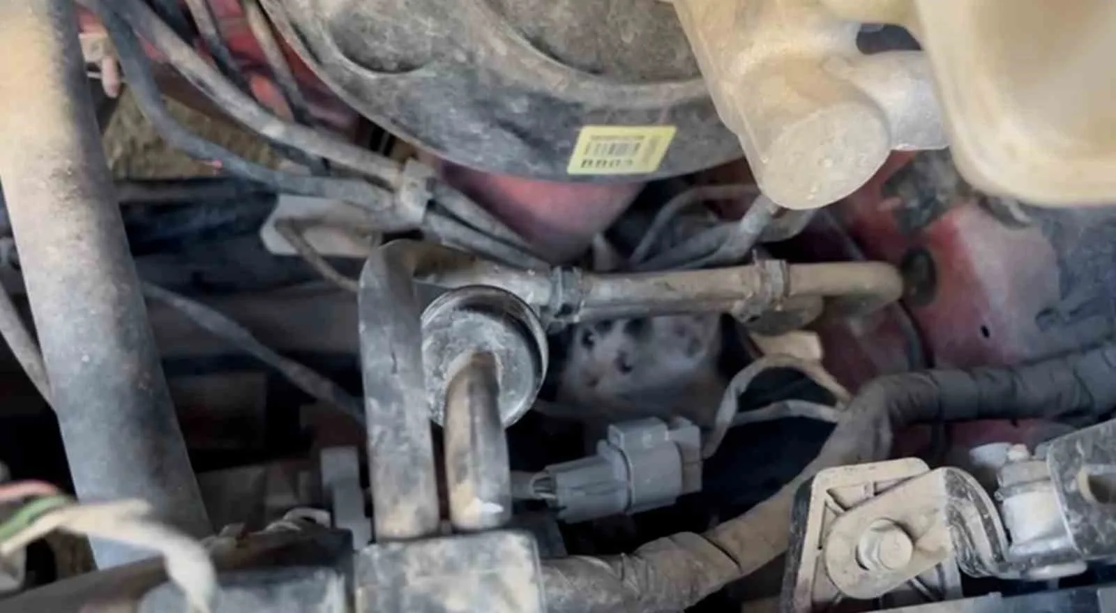 Tekirdağ’ın Çerkezköy ilçesinde araç motorunda mahsur kalan yavru kediler itfaiye