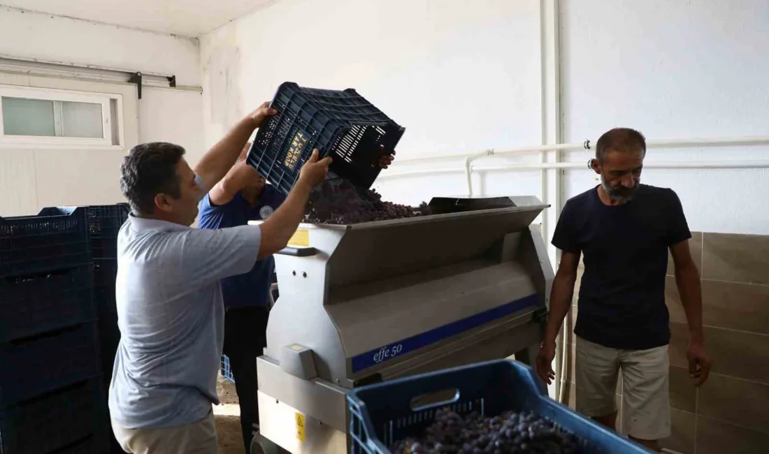 Muğla Büyükşehir Belediyesi ile Yeşilüzümlü Tarımsal Kalkınma Kooperatifi arasında imzalanan