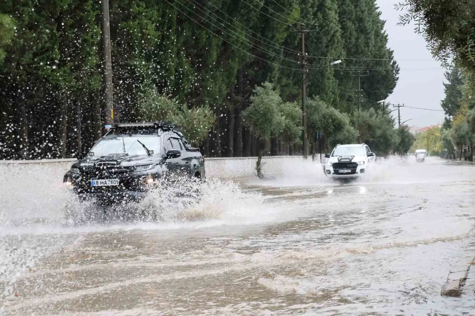 Muğla Büyükşehir Belediyesi sosyal medya hesabından ve cep telefonlarına gönderilen