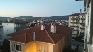 Muğla’nın Ula ilçesine bağlı Yaylasöğüt Mahallesi’nde, 12 Ekim 2025 Pazar