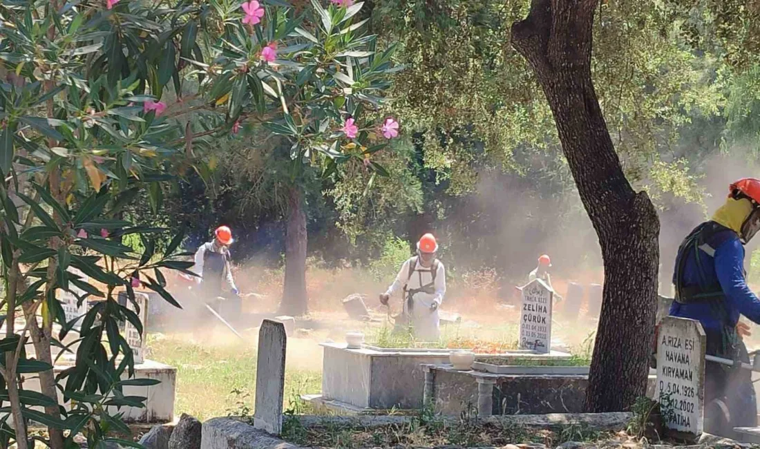 Muğla Büyükşehir Belediyesi, il genelindeki mezarlıklarda bakım, onarım, temizlik ve