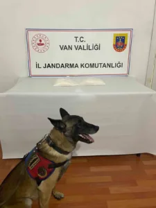 VAN (İHA) – Van’ın Muradiye ilçesinde jandarma ekiplerince yürütülen çalışmalar
