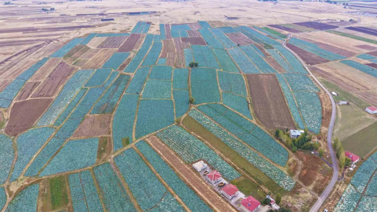 Türkiye’nin üçüncü en büyük ekilebilir tarım alanına sahip Muş Ovası’nda