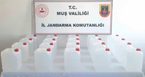 Muş İl Jandarma Komutanlığı ekiplerince yürütülen operasyon kapsamında, kargo aracılığıyla