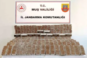 Muş İl Jandarma Komutanlığı ekipleri, kaçak tütünle mücadele kapsamında düzenledikleri
