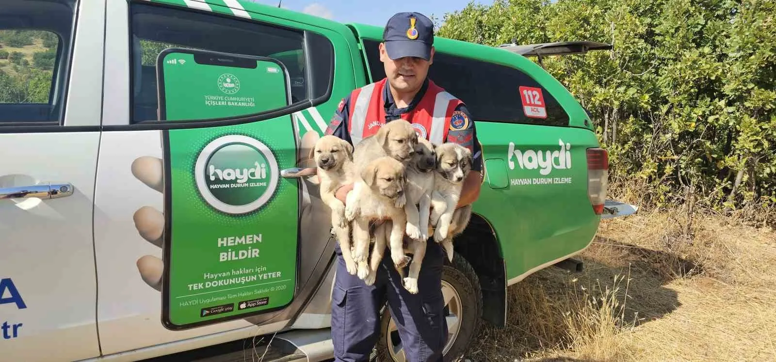 Muş’ta jandarma ekipleri tarafından ormanlık alana terk edilmiş halde bulunan