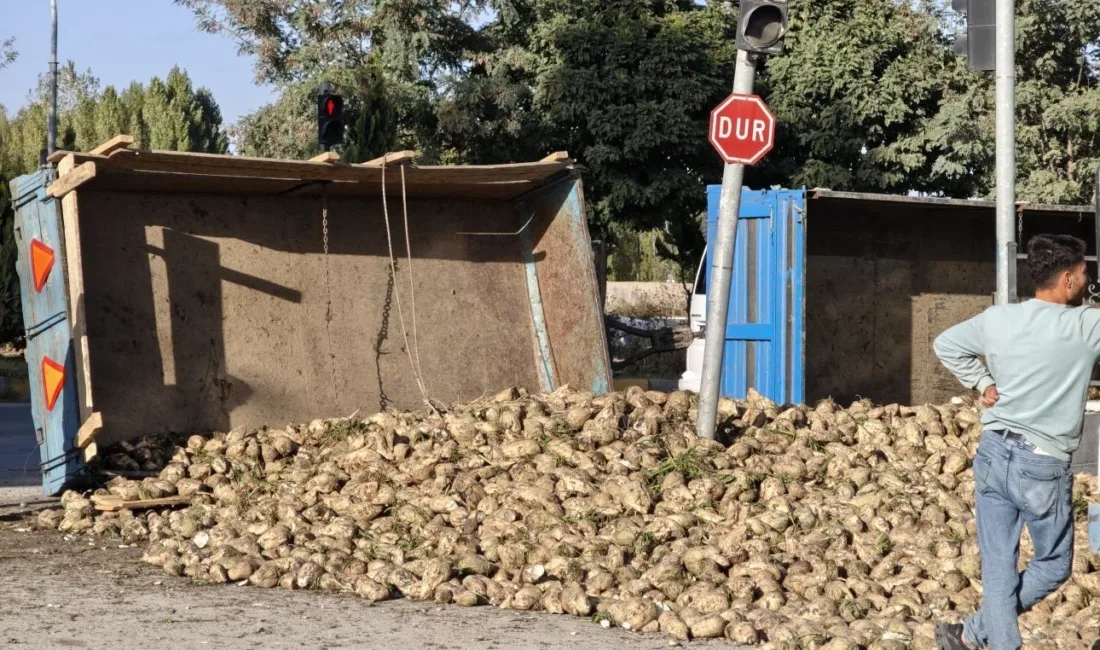 Muş’ta şeker pancarı yüklü devrildi. Edinilen bilgilere göre, sürücüsünün ismi