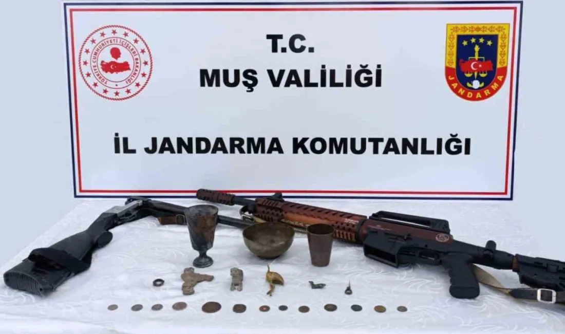 Muş İl Jandarma Komutanlığı ekiplerince düzenlenen operasyonda Urartu ve Roma