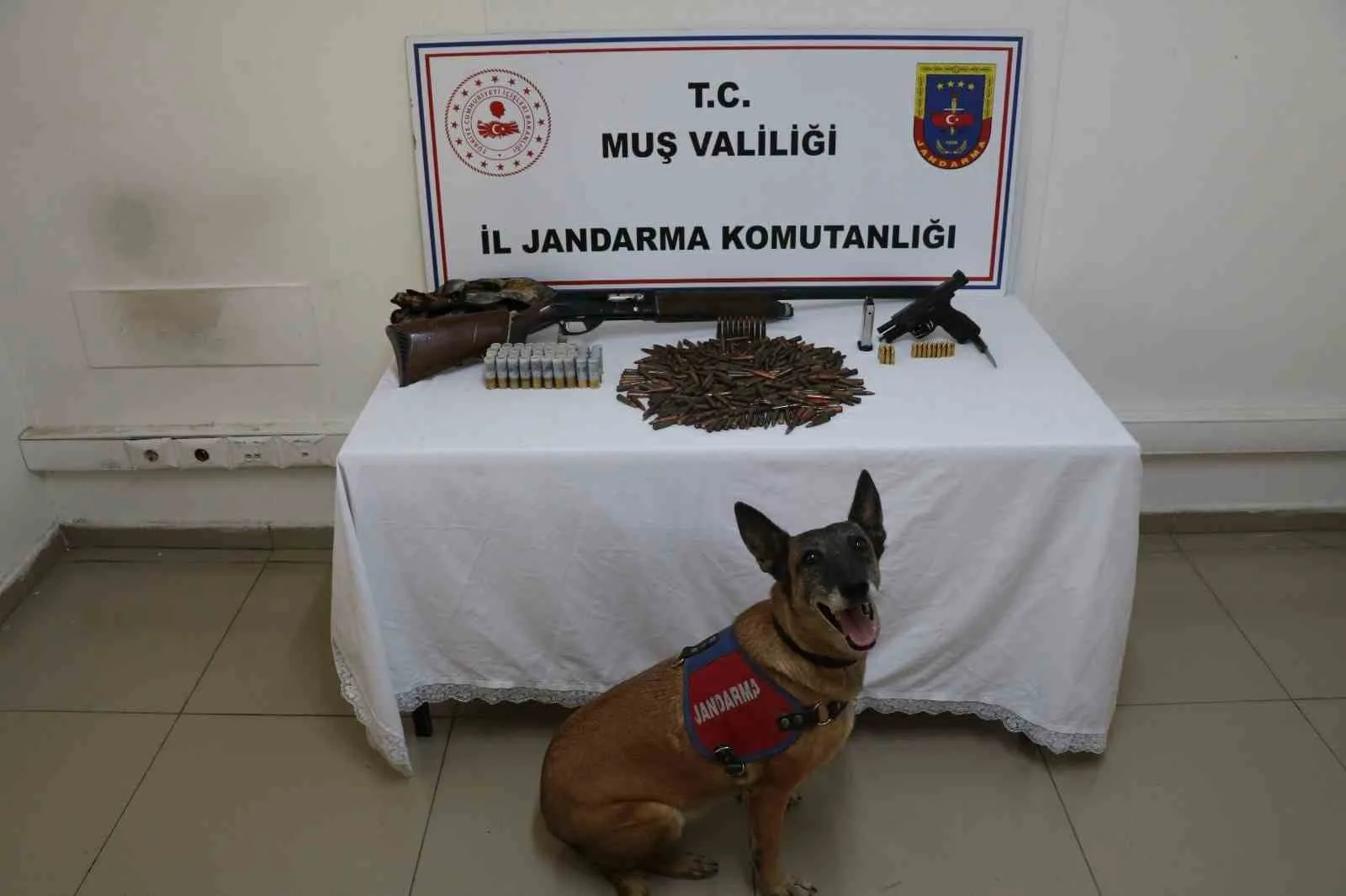 Muş’ta jandarma ekiplerinin bir adrese düzenlediği operasyonda, tezek yığınının altına