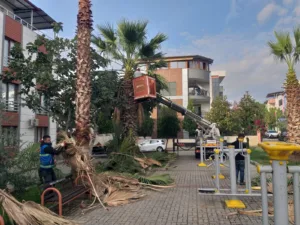 Nazilli Belediyesi Temizlik İşleri ve Park Bahçeler Müdürlüğü ekipleri, kent